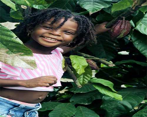 重庆市人民医院一个流程的试管婴儿的价格高不高？求费用明细